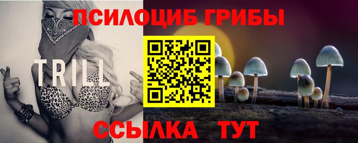 Галлюциногенные грибы Magic Shrooms Междуреченск